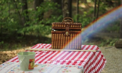 picnic-dam